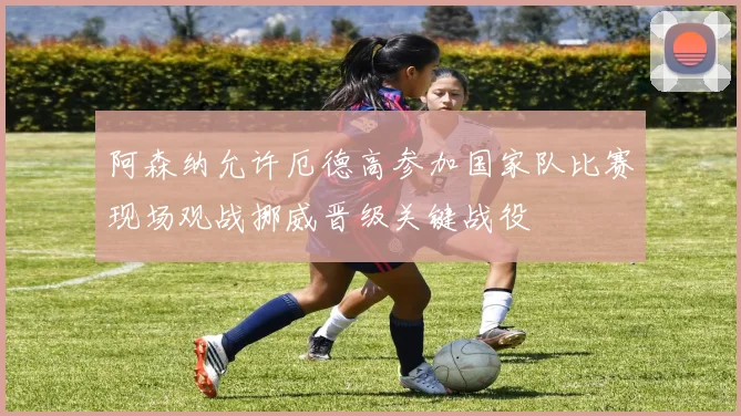阿森纳允许厄德高参加国家队比赛现场观战挪威晋级关键战役