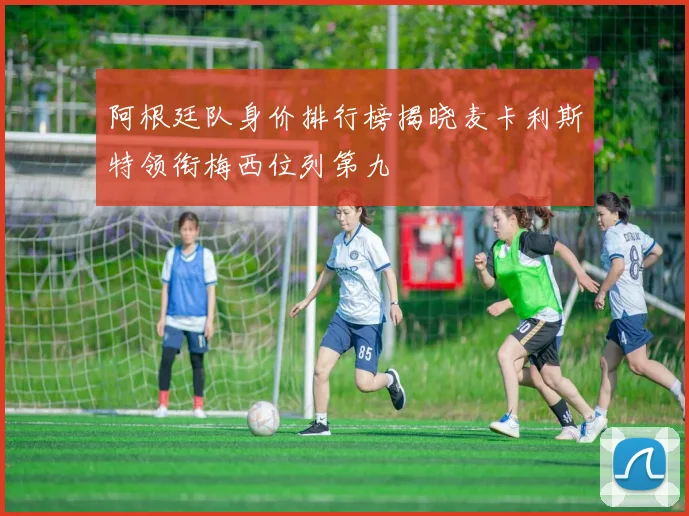 阿根廷队身价排行榜揭晓麦卡利斯特领衔梅西位列第九