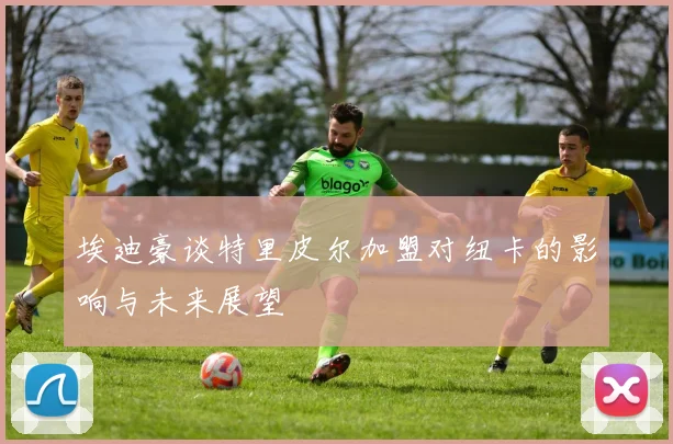 埃迪豪谈特里皮尔加盟对纽卡的影响与未来展望